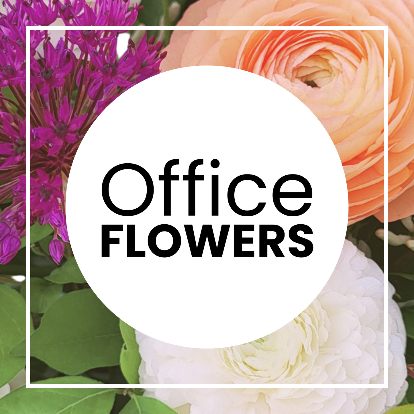 Office Flower Subscription